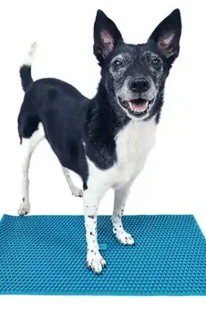 Tijdelijk Beschikbaar FitPAWS K9 Fitmat
